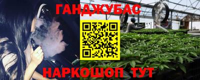 спайс Гай