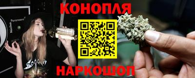 спайс Гай