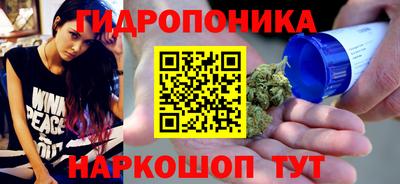 спайс Гай