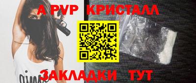 спайс Гай
