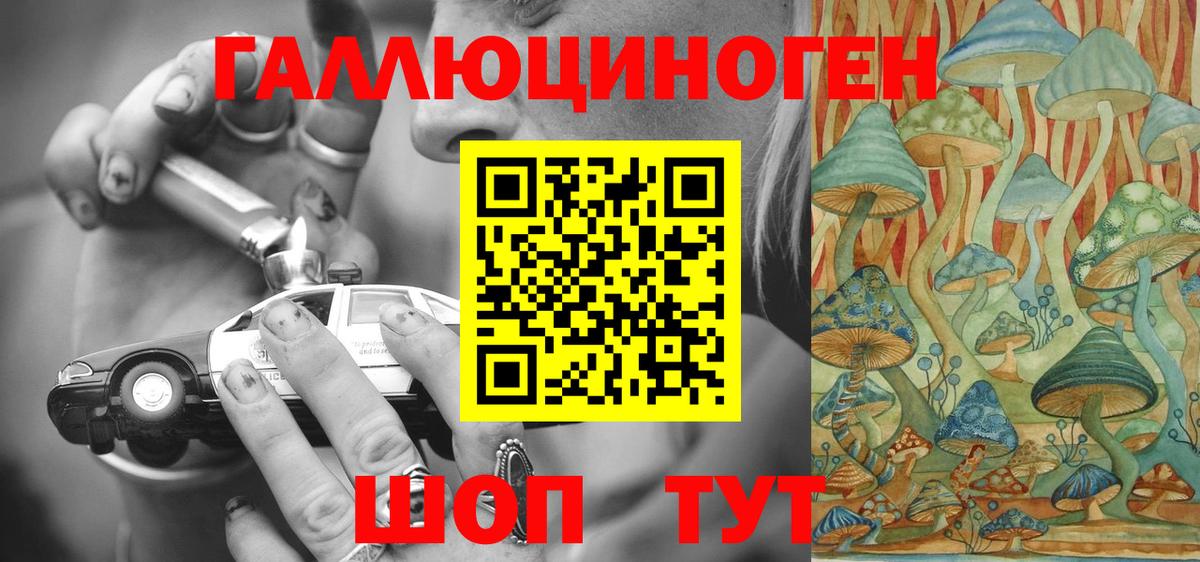 Галлюциногенные грибы мицелий Гатчина